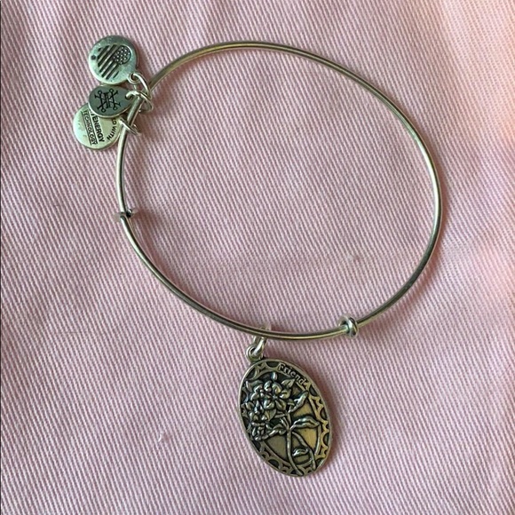 Alex and Ani Jewelry - Alex and Ani | Friend Bracelet